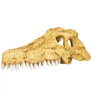 Repti-Zoo Crocodile Skull S - Czaszka Krokodyla - Dekoracje do terrarium - miniaturka - grafika 1