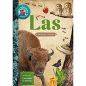 Literatura popularno naukowa dla młodzieży - Młody Obserwator Przyrody Las - miniaturka - grafika 1