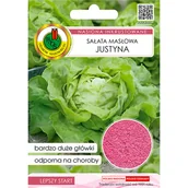 Nasiona i cebule - Sałata masłowa głowiasta Justyna nasiona inkrustowane Pnos - miniaturka - grafika 1