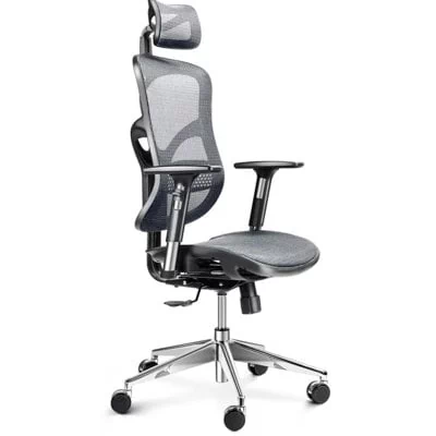 Diablo Chairs Fotel ergonomiczny DIABLO V-BASIC DIABLO V-BASIC