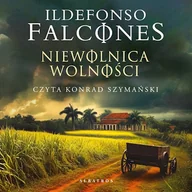 Audiobooki - historia - Niewolnica wolności Ildefonso Falcones - miniaturka - grafika 1
