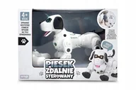 Figurki dla dzieci - PIESEK NA RADIO 63074 ARTYK - miniaturka - grafika 1