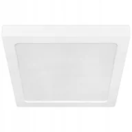 Lampy sufitowe - Panel Led Natynkowy plafon sufitowy 24W Kwadratowy 4000K biały neutralny - miniaturka - grafika 1