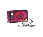 Lampy ogrodowe - Philips-LED RGBW Ściemnialny zewnętrzny łańcuch bożonarodzeniowy HUE WACA 250xLED 24,4 m IP54 - miniaturka - grafika 1