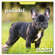 Kalendarze - Kalendarz 2023 13 Plansz 16x16cm Psiaki - EV-Corp - miniaturka - grafika 1