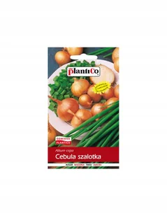 NASIONA CEBULA SZALOTKA AL TOTO 1G - Nasiona i cebule - miniaturka - grafika 1