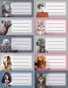 Szkolne artykuły papiernicze - naklejki nalepki na zeszyty 10 szt PIES KOT pieski kociaki - miniaturka - grafika 1