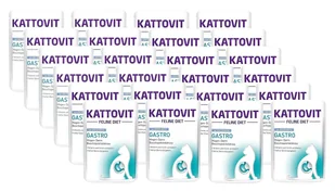 Kattovit Gastro kaczka 24x85g saszetka - Mokra karma dla kotów - miniaturka - grafika 1