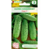 Nasiona i cebule - Ogórek konserwowy Polan F1 nasiona 4g W. Legutko - miniaturka - grafika 1