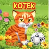 Fantasy - Jafi Kotek JAFI - dostawa od 3,49 PLN - miniaturka - grafika 1