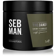 Kosmetyki do stylizacji włosów - SEB MEN SEB MEN Dandy Krem do włosów 75ml - miniaturka - grafika 1