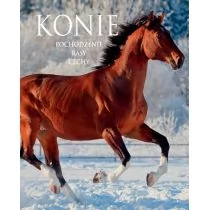 SBM Konie. Pochodzenie, rasy, cechy - EWA WALKOWICZ - Przewodniki - miniaturka - grafika 1