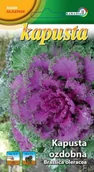 Nasiona i cebule - Kapusta ozdobna mieszanka 0,5g / L / - miniaturka - grafika 1