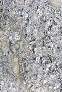 Kostki brukowe i krawężniki - Granit Brazylijski Mare 2cm Poler - Slab - miniaturka - grafika 1