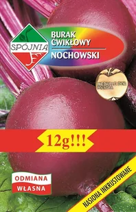 Burak ćwikłowy Nochowski 12 g SPÓJNIA - Nasiona i cebule - miniaturka - grafika 1