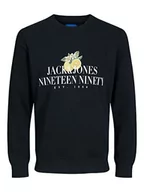 Bluzy męskie - JACK & JONES Bluza męska Jorflores Sweat Crew Neck Sn, czarny, S - miniaturka - grafika 1