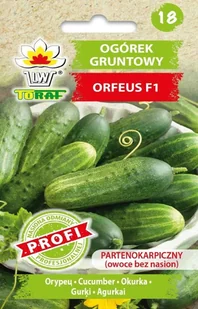 Ogórek Orfeus F1 Partenokarpiczny wczesny nasiona warzyw - Nasiona i cebule - miniaturka - grafika 1
