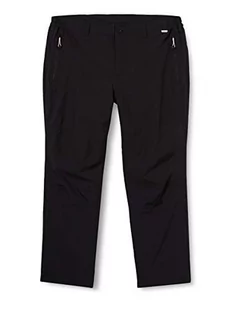 Regatta Męskie spodnie techniczne Dayhike III. Pantalon Technique Homme Dayhike III czarny czarny FR : 4XL (Taille Fabricant : 42") - Spodenki męskie - miniaturka - grafika 1