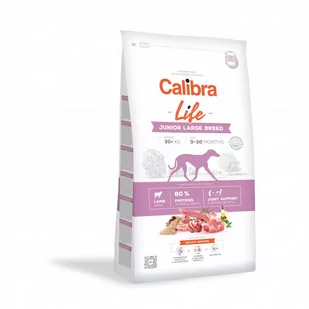 Calibra Junior Large Breed Lamb 15 kg - Sucha karma dla psów - miniaturka - grafika 1