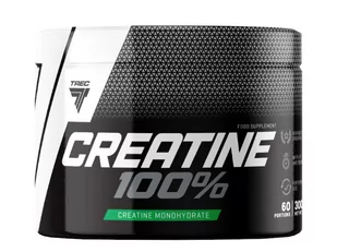 CREATINE 100%  300 g - Kreatyna - miniaturka - grafika 1