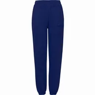 Spodnie sportowe damskie - Damskie spodnie dresowe FILA BANDIRMA high waist sweat pants - miniaturka - grafika 1