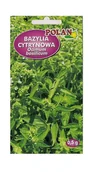 Nasiona i cebule - Bazylia cytrynowa 0,5 g POLAN - miniaturka - grafika 1