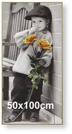 Ramki na zdjęcia - Rama aluminiowa do plakatu 50x100cm, złota anoda / ARTVIC - miniaturka - grafika 1