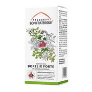 Suplementy naturalne - Produkty Bonifraterskie Produkty Bonifraterskie Borelix Forte 60 tabletek BF0986 - miniaturka - grafika 1