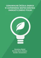 E-booki - nauka - Odnawialne źródła energii w zapewnieniu bezpieczeństwa energetycznego Polski - miniaturka - grafika 1
