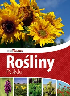 Rośliny Polski. Piękna Polska - Albumy krajoznawcze - miniaturka - grafika 1