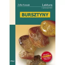 Kossak Zofia Bursztyny - Podręczniki dla liceum - miniaturka - grafika 1