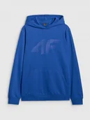 Bluzy męskie - BLUZA MĘSKA Z KAPTUREM 4F BASIC TSWSM1980 AW25 M - miniaturka - grafika 1