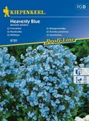 Nasiona i cebule - Kiepenkerl Niezapominajka Heavenly Blue Myosotis sylvatica 102346 - miniaturka - grafika 1
