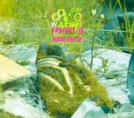 Muzyka alternatywna - Olo Walicki Kaszebe II. CD - miniaturka - grafika 1