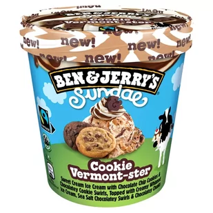 Ben & Jerry's Cookie Vermont-ster Lody 427 ml - Lody i desery lodowe - miniaturka - grafika 1