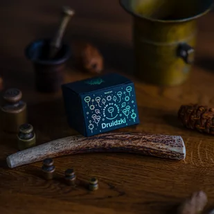 RareCraft, Balsam do brody Druidzki, 50 ml - Kosmetyki i akcesoria do pielęgnacji brody - miniaturka - grafika 1