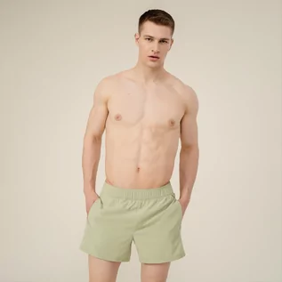 Spodnie sportowe męskie - Męskie spodenki plażowe OUTHORN SKMT600 - zielone - Outhorn - grafika 1