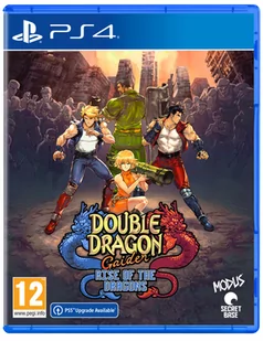 Double Dragon Gaiden - Rise of the Dragons (PS4) - Gry PlayStation 4 - miniaturka - grafika 1