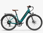 Rowery elektryczne - Fiido C11 Pro 250W bateria 48V 10.4Ah zasięg do 104 KM czujnik nacisku na pedały - miniaturka - grafika 1