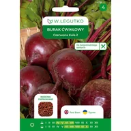 Nasiona i cebule - Burak ćwikłowy Czerwona Kula 2 nasiona W.Legutko - miniaturka - grafika 1