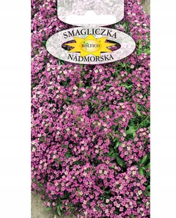 SMAGLICZKA różowa pachnąca NASIONA kwiatów p. 1H132; 2H132; - Nasiona i cebule - miniaturka - grafika 1