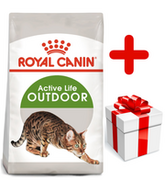Sucha karma dla kotów - Royal Canin Outdoor 10 kg - miniaturka - grafika 1