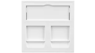 OBO BETTERMANN Adapter M45 dla 2xRJ45 biały DTG-2RM RW1 6119292 6119292 - Inne akcesoria elektryczne - miniaturka - grafika 1