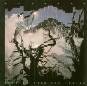 Muzyka alternatywna - Burning From the Inside - miniaturka - grafika 1