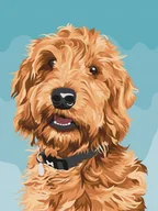 Dekoratorstwo - Duży Zestaw Do Malowania Po Numerach Artiste Playful Labradoodle Dpcraft - miniaturka - grafika 1