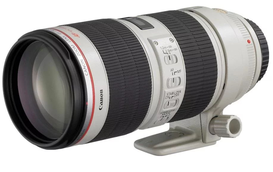 Canon EF 100-400mm f/4.5-5.6 L IS II USM (9524B005AA)