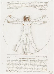 Vitruvian Man, Leonardo Da Vinci -  plakat Wymiar do wyboru: 50x70 cm - Plakaty - miniaturka - grafika 1