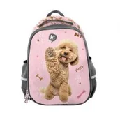 Plecaki szkolne i tornistry - Paso poodle Plecak 2-komorowy Premium Pudel PP24PU-565 - miniaturka - grafika 1