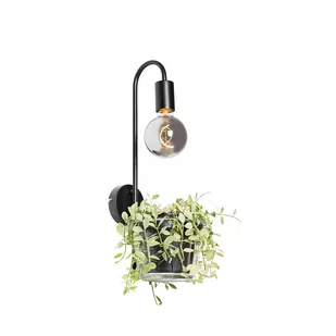 QAZQA Nowoczesna lampa ścienna czarna ze szkłem - Roslini - Lampy ścienne - miniaturka - grafika 1