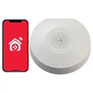 Systemy inteligentnych domów - Bramka FERGUSON Smart Hub FS2SH Wi-Fi/Bluetooth/ZigBee - miniaturka - grafika 1